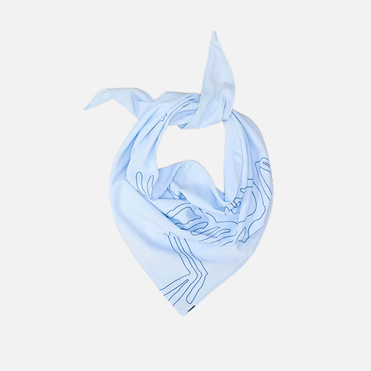 Arc'teryx Unisex Sinsolo Bandana